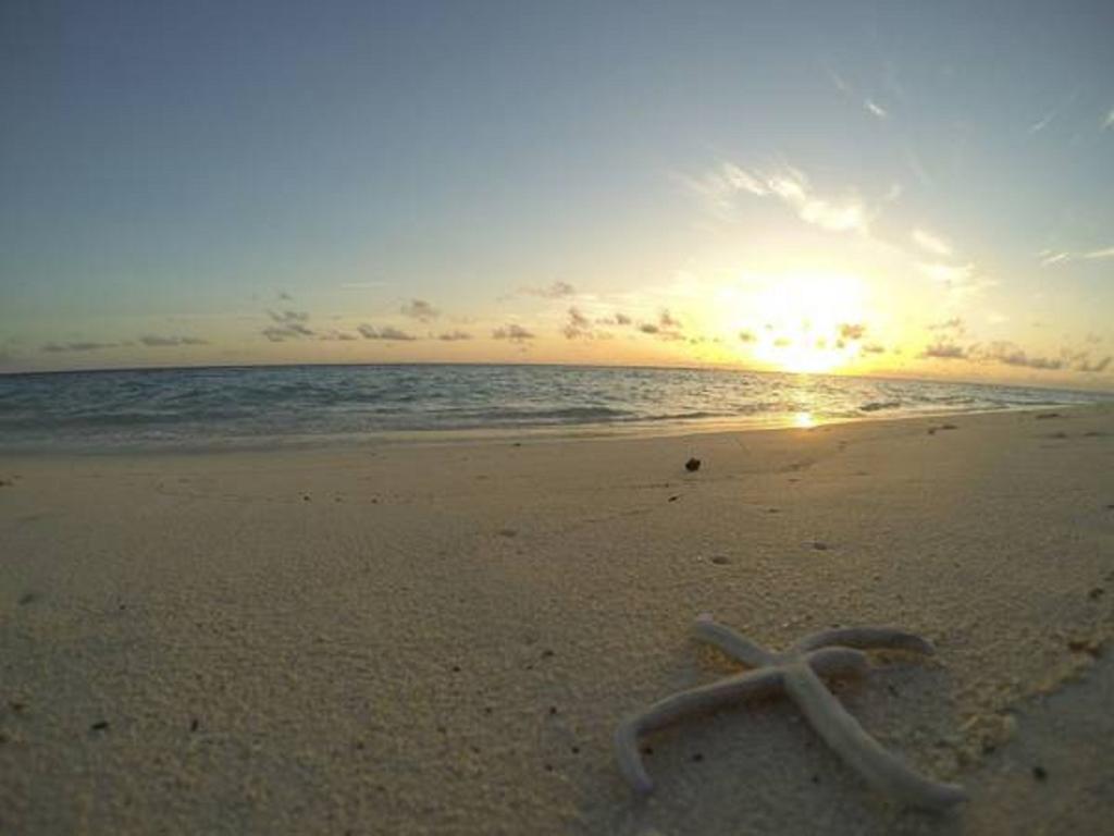 Local Island Inn Hangnaameedhoo Exteriör bild