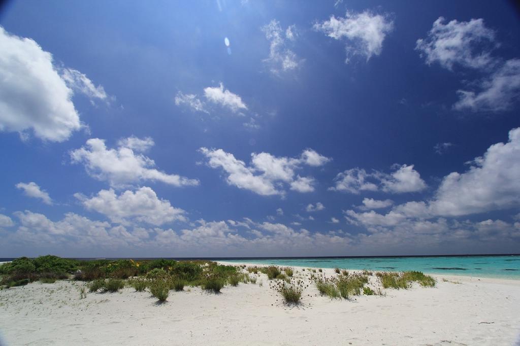 Local Island Inn Hangnaameedhoo Exteriör bild