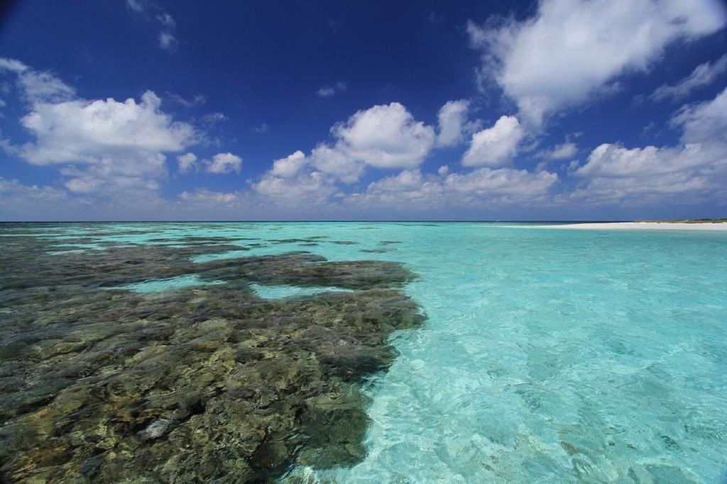 Local Island Inn Hangnaameedhoo Exteriör bild