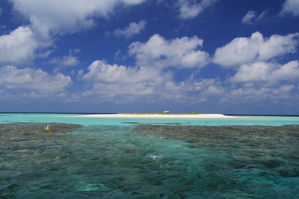 Local Island Inn Hangnaameedhoo Exteriör bild