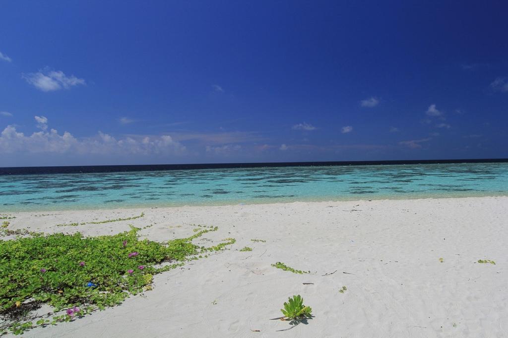 Local Island Inn Hangnaameedhoo Exteriör bild