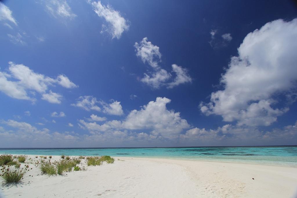 Local Island Inn Hangnaameedhoo Exteriör bild